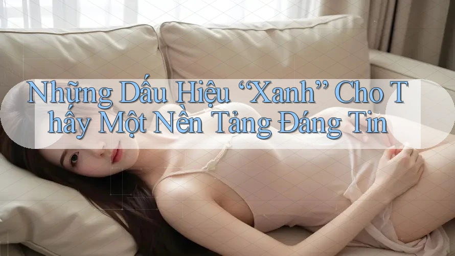 Những Dấu Hiệu “Xanh” Cho Thấy Một Nền Tảng Đáng Tin