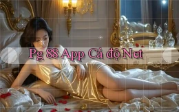 pg 88 app cá độ net