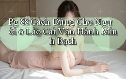 pg 88 cách dùng cho người ở Lào Cai vận hành minh bạch