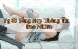 pg 88 tổng hợp thông tin bao nhiêu