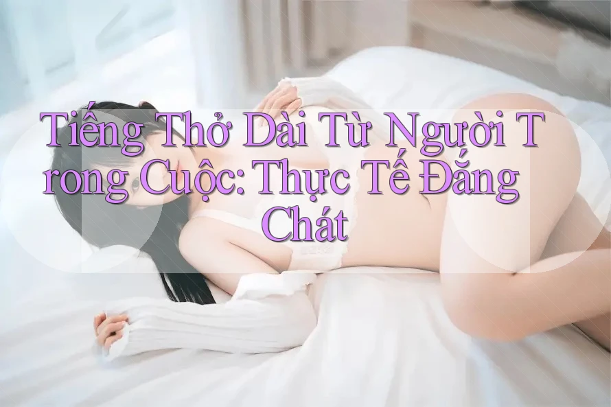 Tiếng Thở Dài Từ Người Trong Cuộc: Thực Tế Đắng Chát