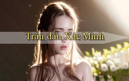Trận đấu Xác minh