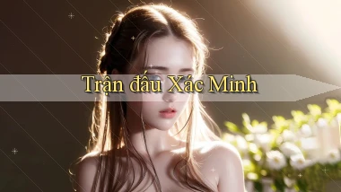 Trận đấu Xác minh