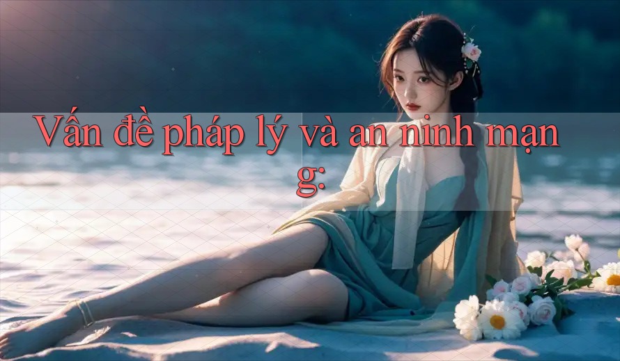 Vấn đề pháp lý và an ninh mạng: