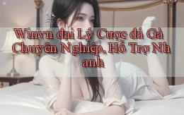 winvn  đại lý cược đá gà chuyên nghiệp, hỗ trợ nhanh