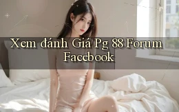 xem đánh giá pg 88 forum facebook